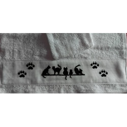Chats et Pattes